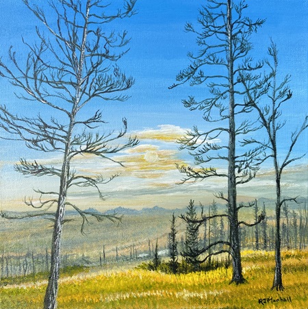 Robert's recent piece 'Golden Hour'